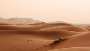 paysage desert tunisien